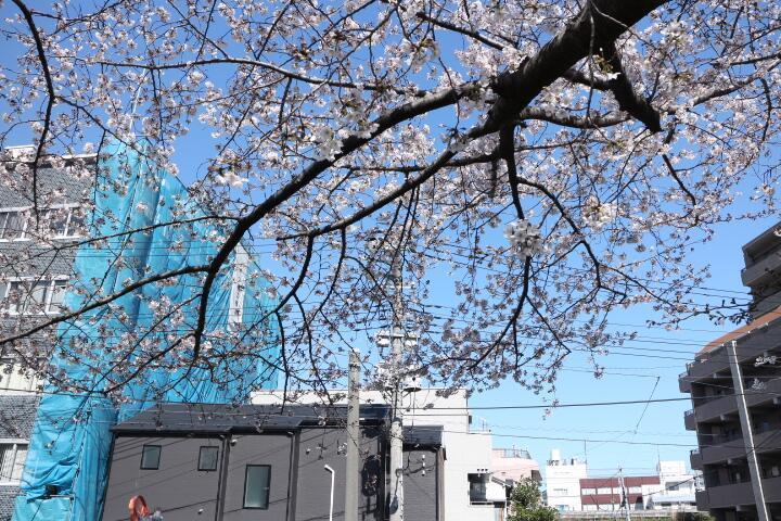 ネストイン田端 Tokyo